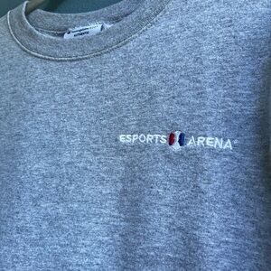 Champion sweatshirt with Esports logo. Rarely worn, no damage, or fading!